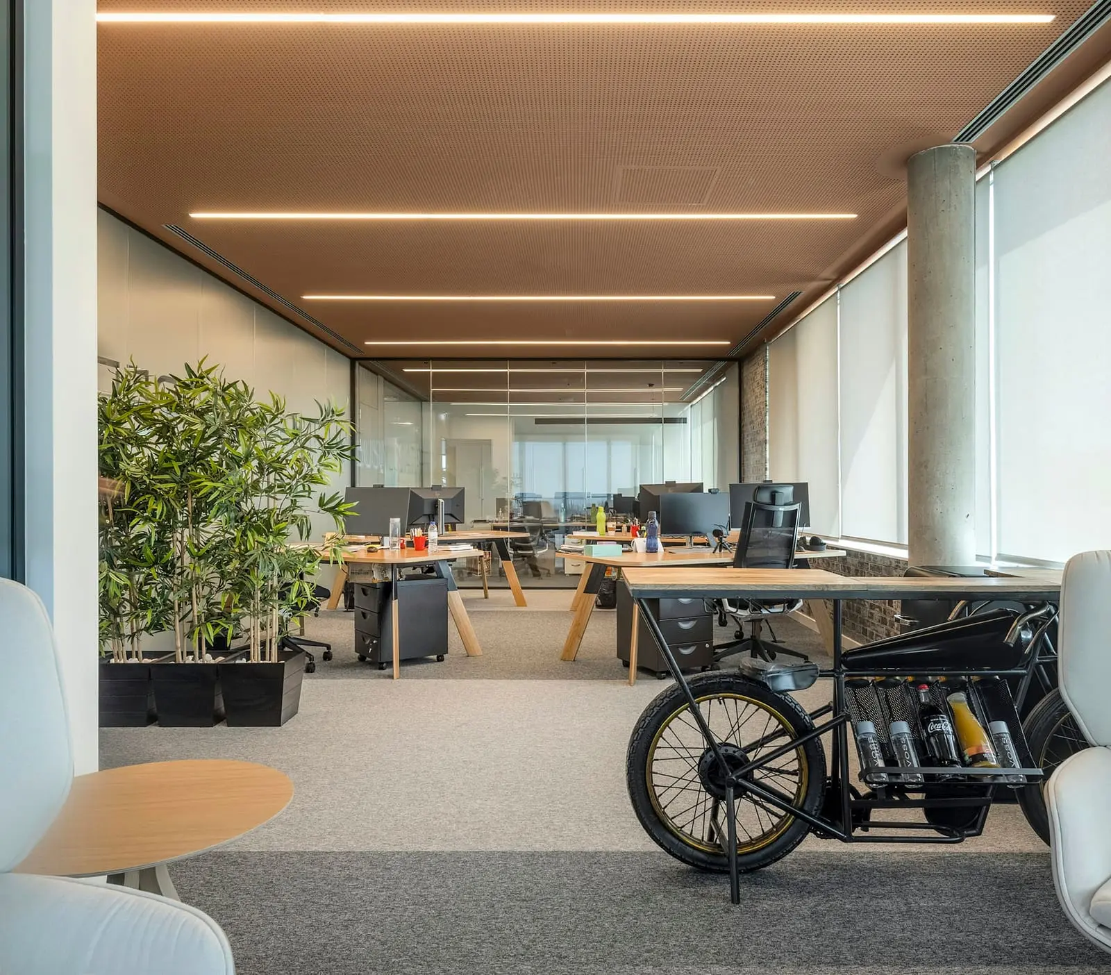 A bright office with shared tables, plants and a bicycle parked inside